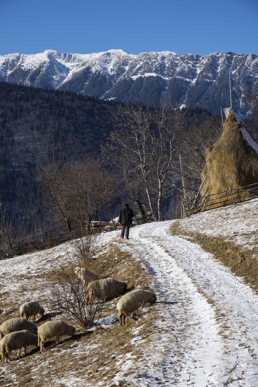Отель Samedru Мэгура Экстерьер фото