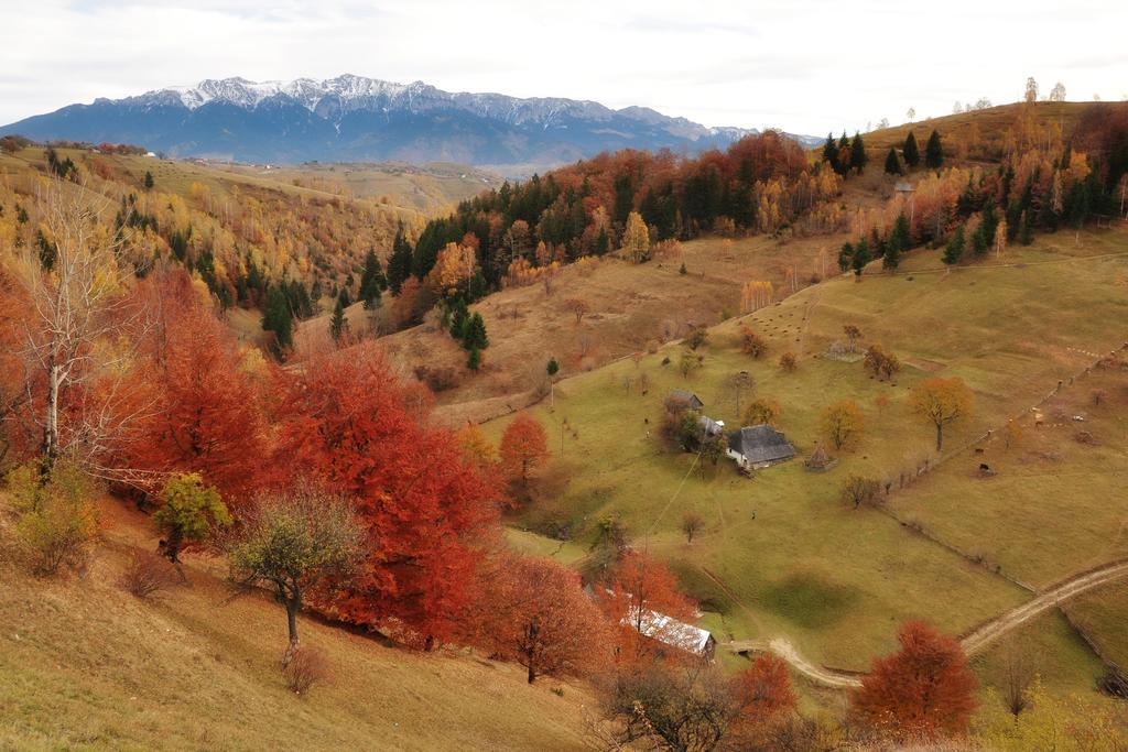Отель Samedru Мэгура Экстерьер фото