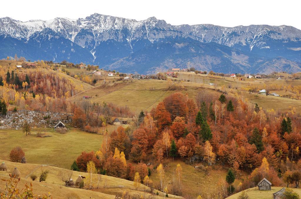Отель Samedru Мэгура Экстерьер фото